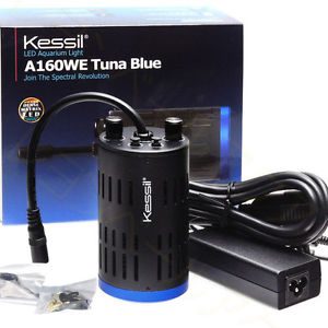 Kessil A160WE Tuna Blue aquarium LED verlichting